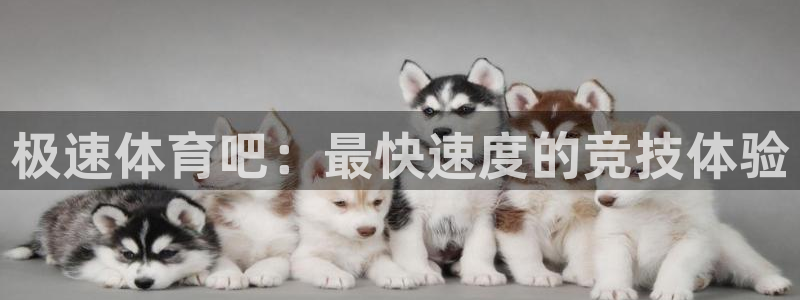 极速体育吧：最快速度的竞技体验