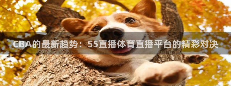 CBA的最新趋势：55直播体育直播平台的精彩对决