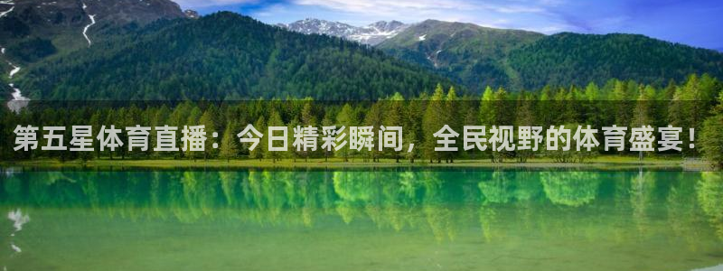 第五星体育直播：今日精彩瞬间，全民视野的体育盛宴！