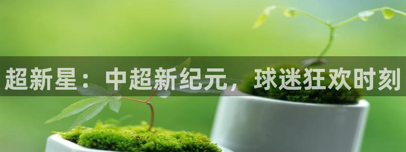 超新星：中超新纪元，球迷狂欢时刻
