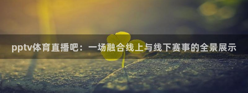 pptv体育直播吧：一场融合线上与线下赛事的全景展示
