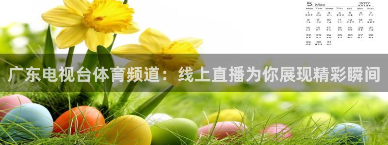 广东电视台体育频道：线上直播为你展现精彩瞬间