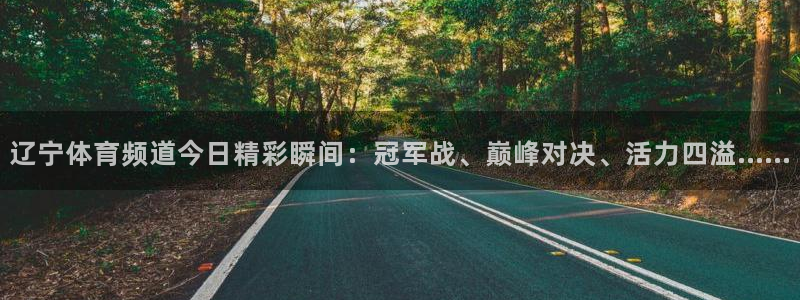 辽宁体育频道今日精彩瞬间：冠军战、巅峰对决、活力四溢……