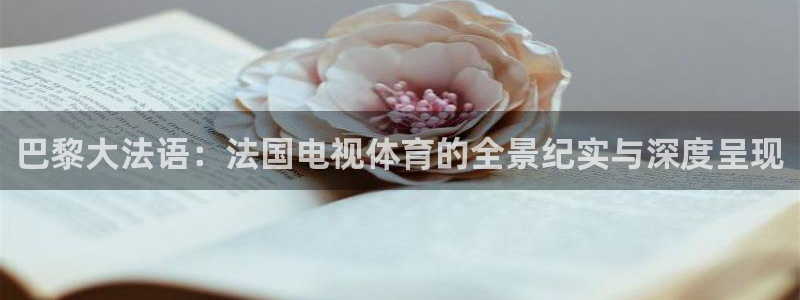 巴黎大法语：法国电视体育的全景纪实与深度呈现